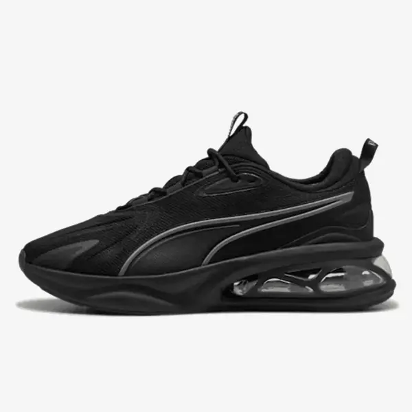 Puma Solar