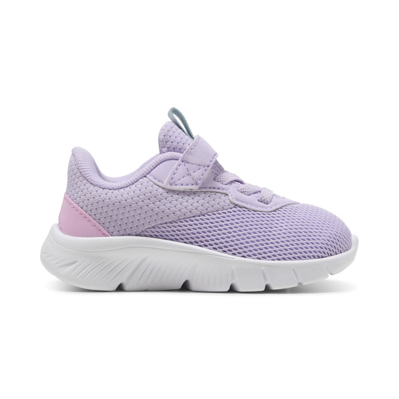 Flexfocus modern ac+ inf, Ljubičasta