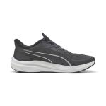Skyrocket lite 2, Srebrna