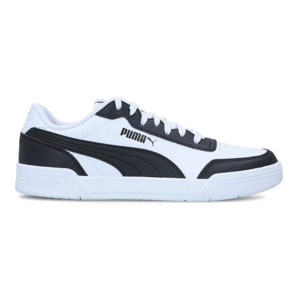 Puma Caracal