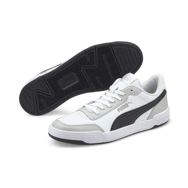 Puma Caracal