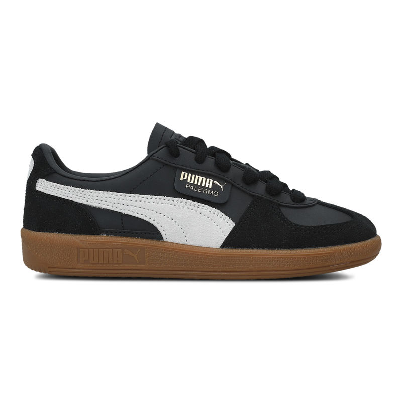Palermo lth jr
