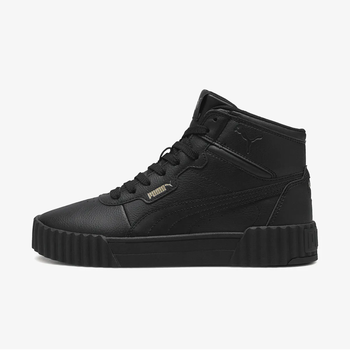 Carina 3.0 Mid
