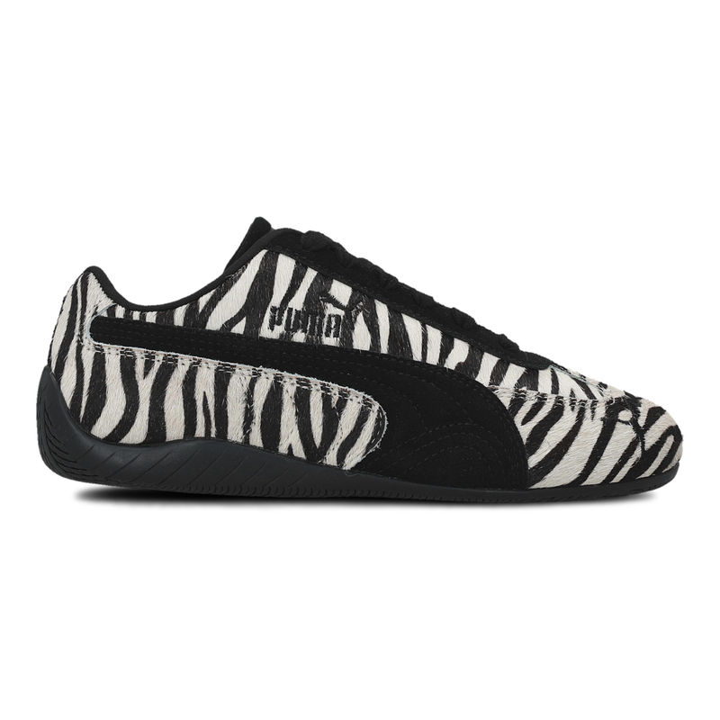 Speedcat zebra wns
