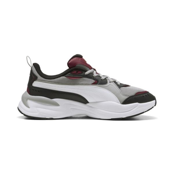 Puma X-ray 4