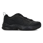 Air Monarch Iv, Crna