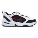 Air Monarch Iv, Bela
