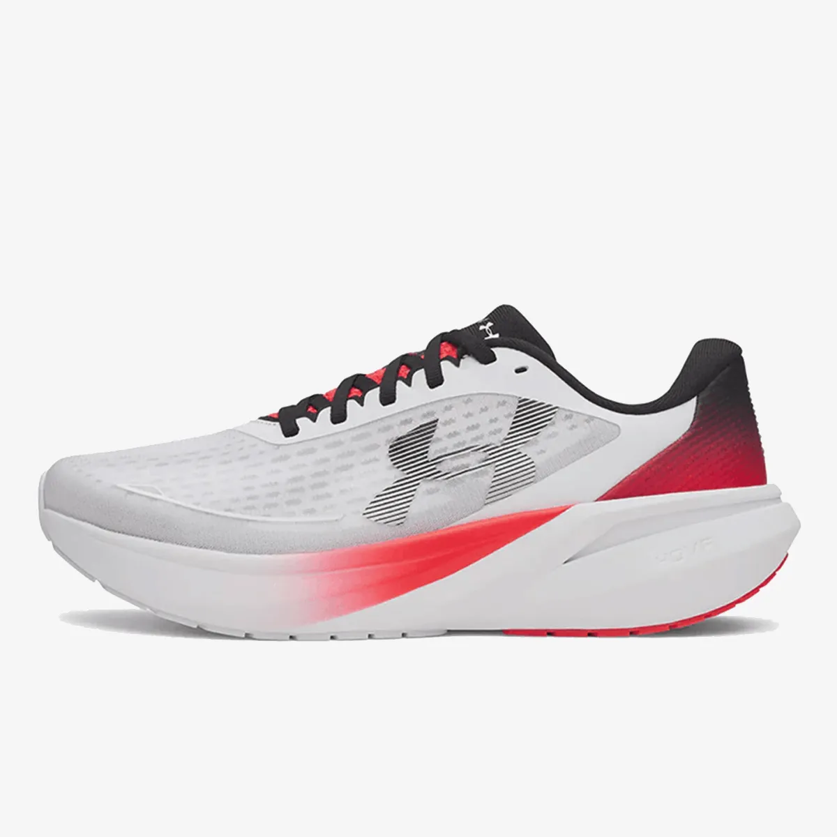 Velociti Pace