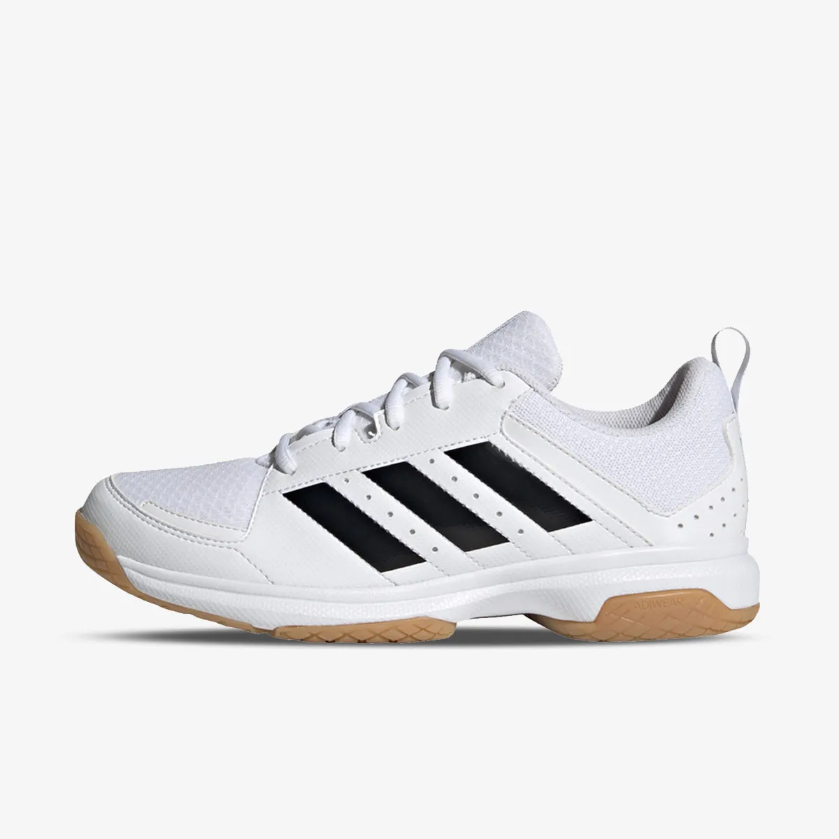 Ligra 7 Indoor