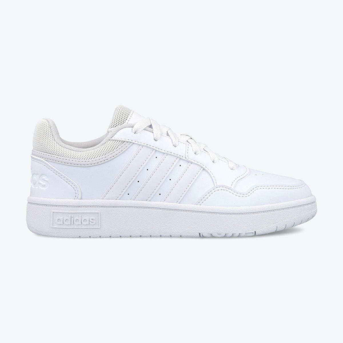 hoops 3.0