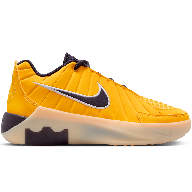Lebron Witness Ix