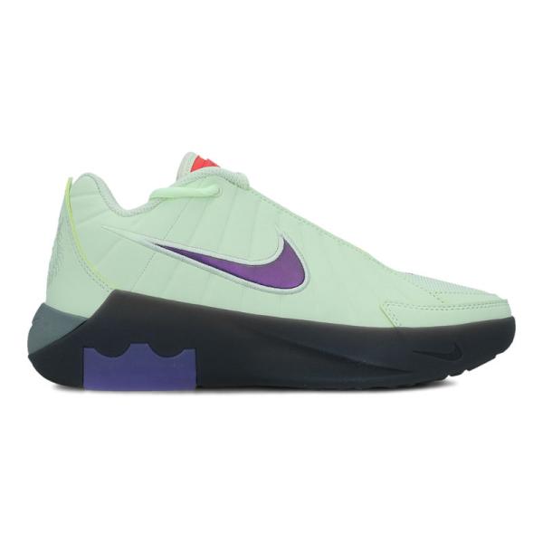 Nike Lebron witness ix (gs)