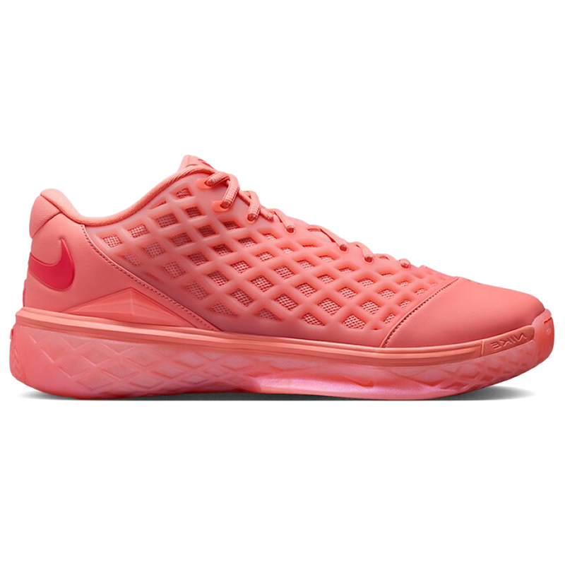 Kobe Iii Low Protro, Multikolor