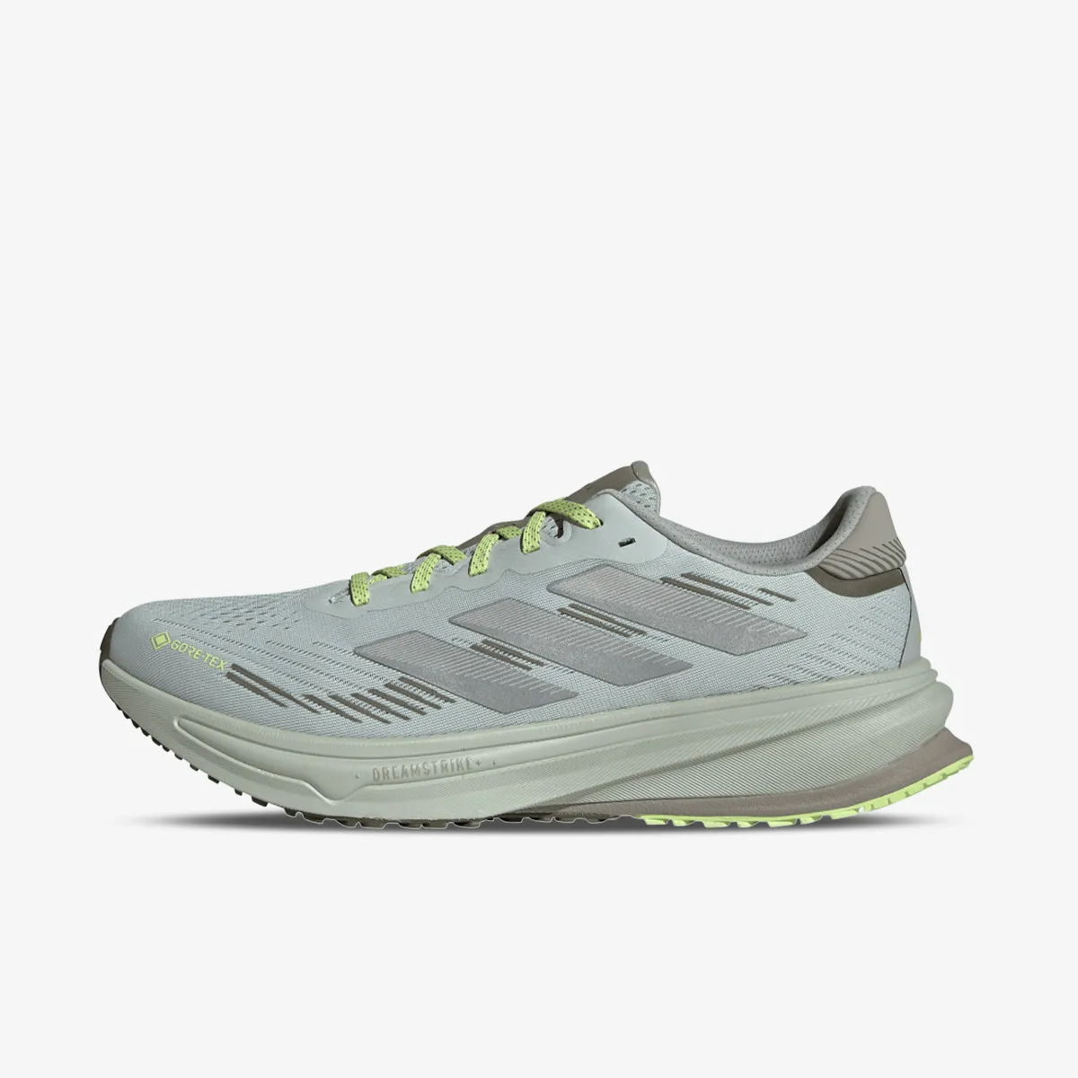 Supernova Rise GTX