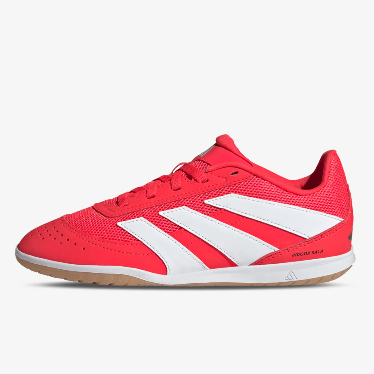 Predator Club In Sala