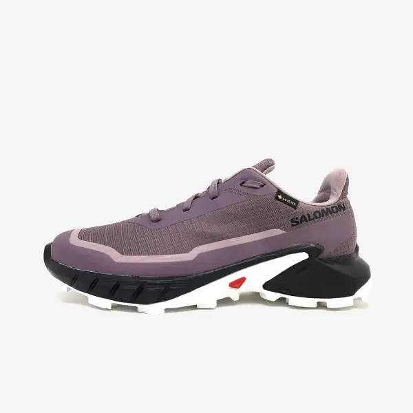 Salomon Alphacross 5 GTX